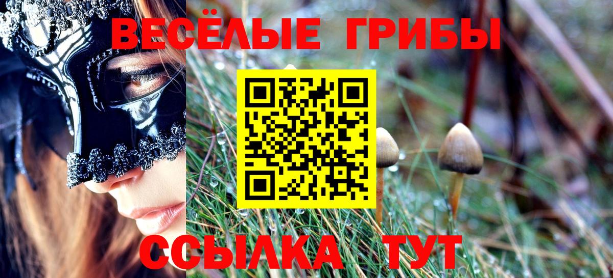 Сухой Лог  Псилоцибиновые грибы Psilocybine cubensis  Вход с VPN 